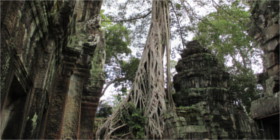 taprohm